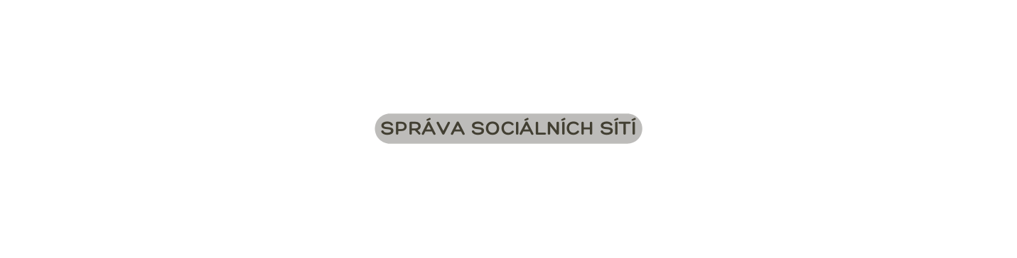 SPRÁVA SOCIÁLNÍCH SÍTÍ